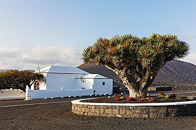 《三伏》新资讯：试玩Demo最快3-4月份公布